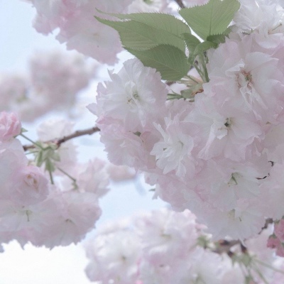 Furry角色性格塑造技巧福瑞群